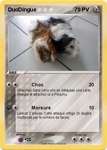 Pokemon DuoDingue