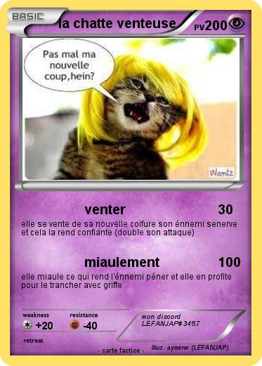 Pokemon la chatte venteuse
