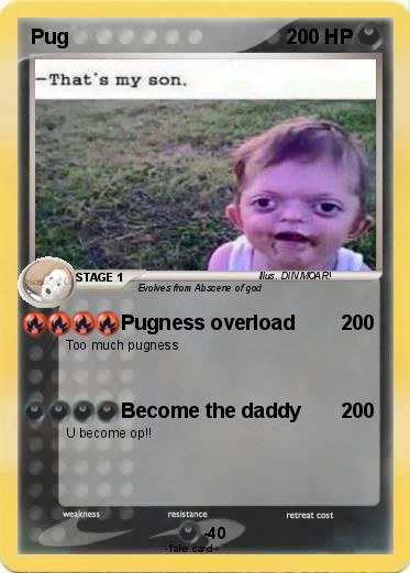 Pokemon Pug