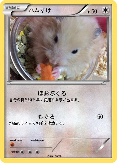 Pokemon ハムすけ