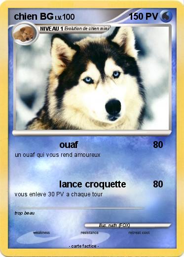 Pokemon chien BG