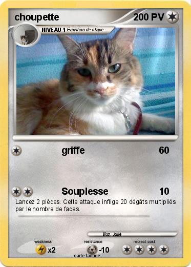 Pokemon choupette