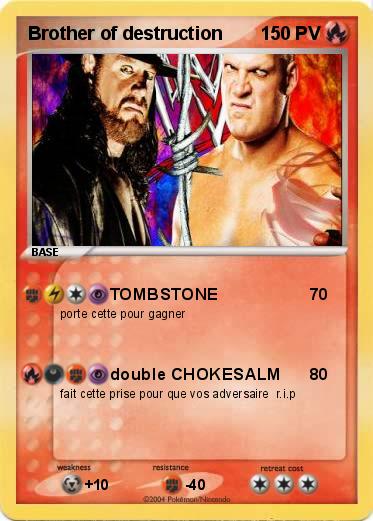 Pokemon Brother of destruction