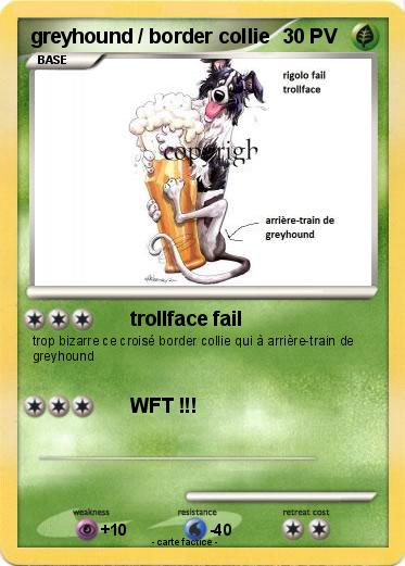 Pokemon greyhound / border collie