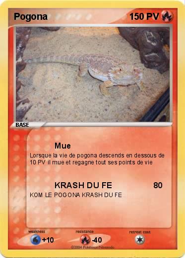 Pokemon Pogona