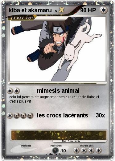 Pokemon kiba et akamaru