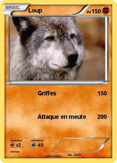Pokemon Loup
