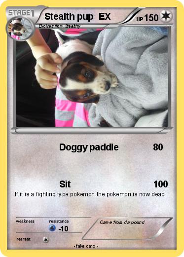 Pokemon Stealth pup  EX
