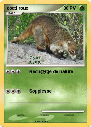 Pokemon coati roux