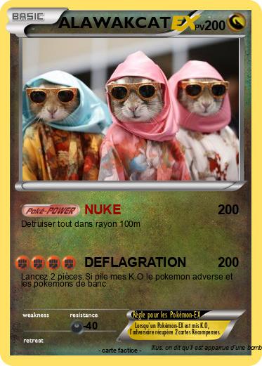 Pokemon ALAWAKCAT