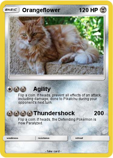 Pokemon Orangeflower