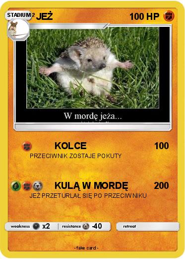 Pokemon JEŻ