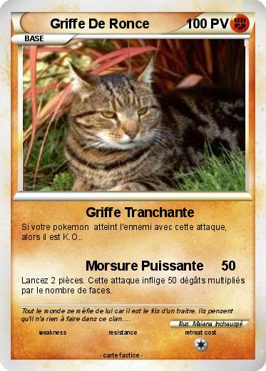 Pokemon Griffe De Ronce