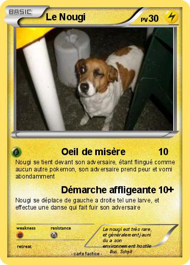 Pokemon Le Nougi