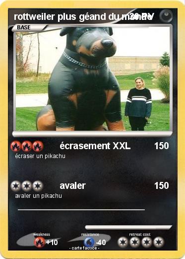 Pokemon rottweiler plus géand du monde