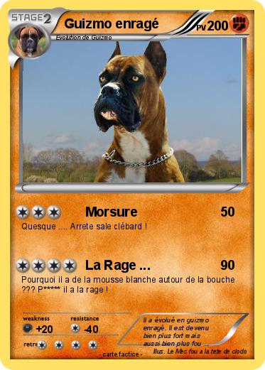 Pokemon Guizmo enragé