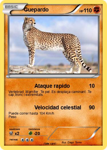 Pokemon Guepardo