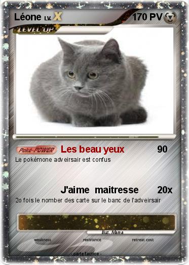 Pokemon Léone