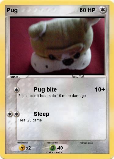 Pokemon Pug