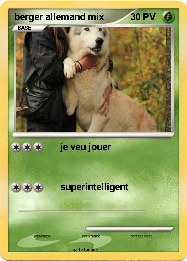 Pokemon berger allemand mix
