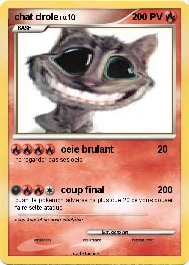 Pokemon chat drole