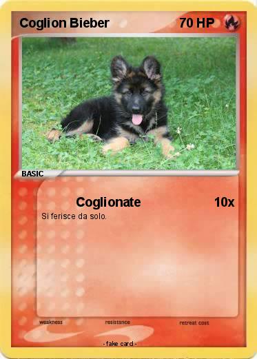 Pokemon Coglion Bieber