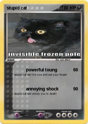 Pokemon stupid cat
