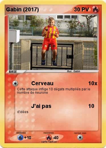 Pokemon Gabin (2017)