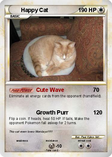 Pokemon Happy Cat
