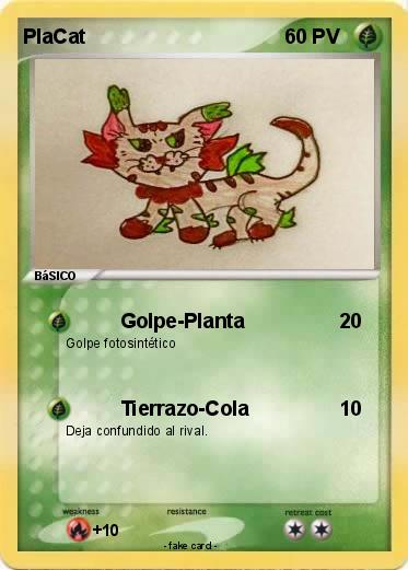 Pokemon PlaCat