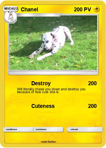 Pokemon Chanel