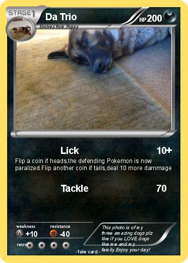 Pokemon Da Trio