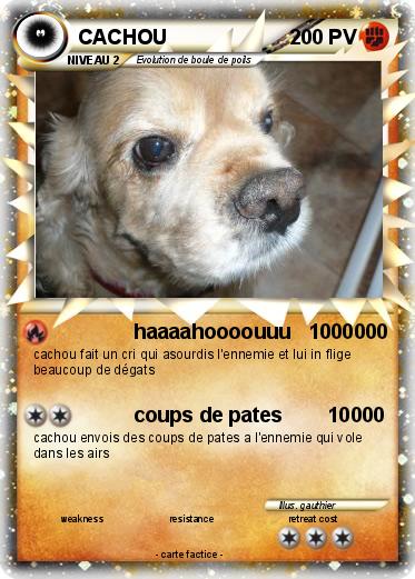 Pokemon CACHOU