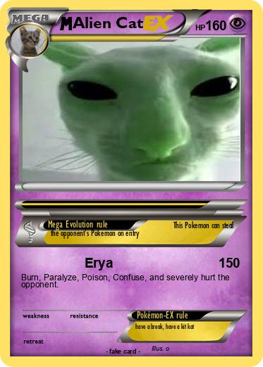 Pokemon Alien Cat