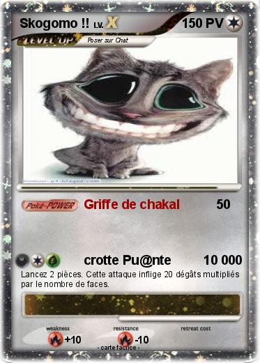 Pokemon Skogomo !!