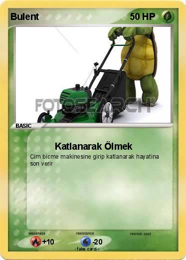 Pokemon Bulent