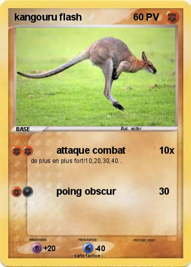 Pokemon kangouru flash