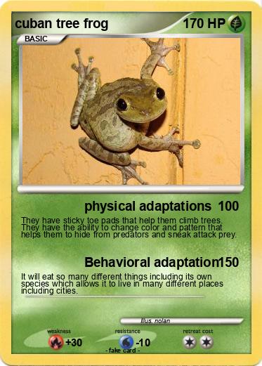 Pokemon cuban tree frog