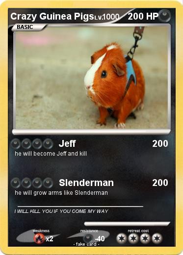 Pokemon Crazy Guinea Pigs