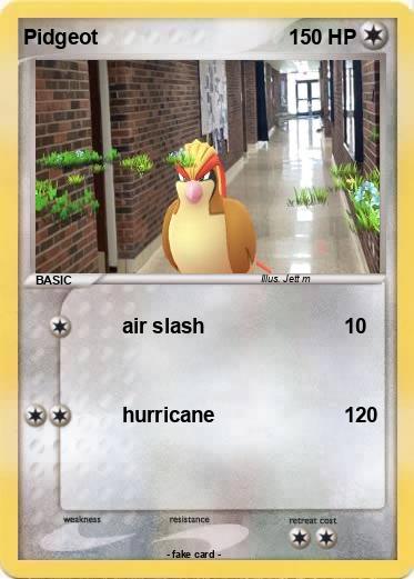 Pokemon Pidgeot
