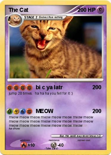 Pokemon The Cat