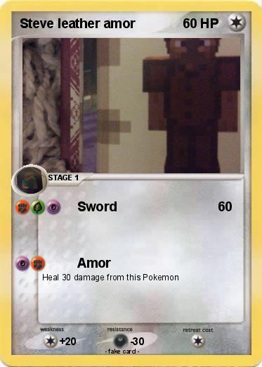 Pokemon Steve leather amor