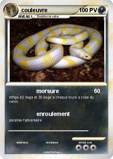 Pokemon couleuvre