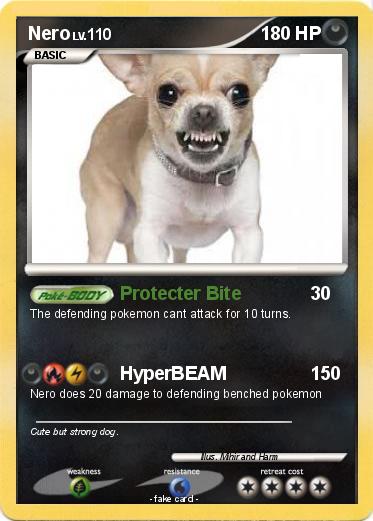 Pokemon Nero