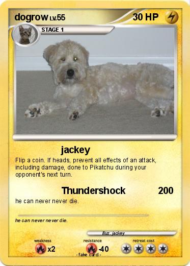 Pokemon dogrow