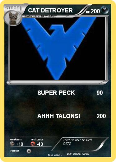 Pokemon CAT DETROYER