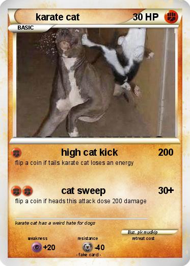 Pokemon karate cat