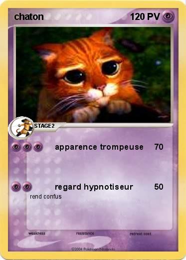 Pokemon chaton