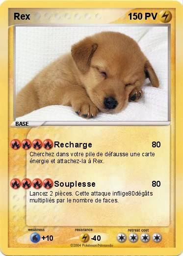 Pokemon Rex