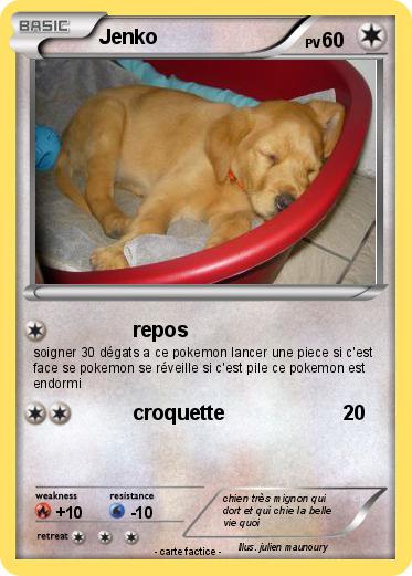 Pokemon Jenko